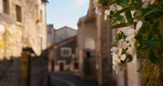 Le sentier de Chênepierre_2