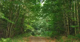 Sentier Les Chevreuils_2 Sentier Les Chevreuils_2