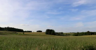 modelé-des-champs-entre-julika-et-villetelle_9