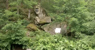 Sentier chez le Geai_3