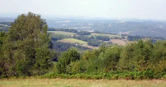 Chemin de Sussac au Mont Gargan_2 Chemin de Sussac au Mont Gargan_2
