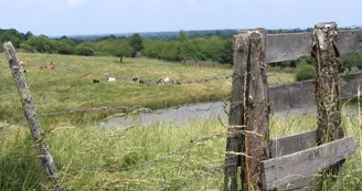Sentier des bergères_4