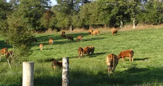 Sentier des bergères_6
