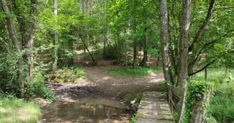 Passage d'un ruisseau