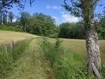 Chemin agricole