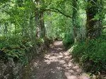 Chemin creux