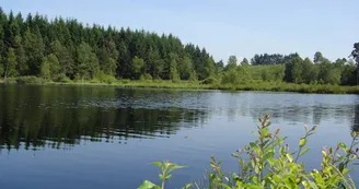 Circuit du lac de Faux.jpg_1 Circuit du lac de Faux.jpg_1