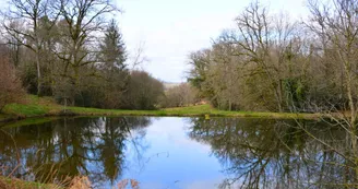 Circuit des Fontaines et des Étangs à Flavignac