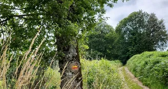 Balisage dans le chemin de la Veytisou (Neuvic-Entier)