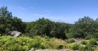 Beaumont-du-Lac - Autour du Bois de Crozat