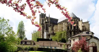 Cathédrale Saint-Etienne (D. GUILLEMAIN)