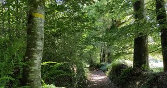 Chemin creux de Beaumont-du-Lac - (c)Pays Monts et Barrages 