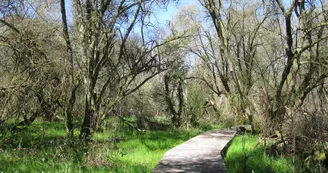 Chemin Yourcenar au début du printemps