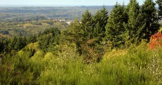 Compreignac_1