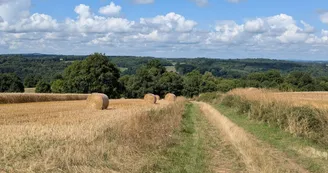 Glanges sentier du Theillaumas vue horizon4