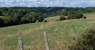 Glanges sentier du Theillaumas vue horizon5