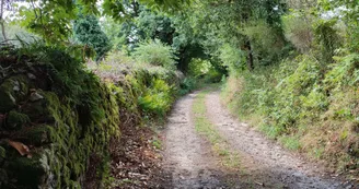 GRPMBL - Chemin creux - Villavaleix - Sainte-Anne-Saint-Priest (c) Pays Monts et Barrages