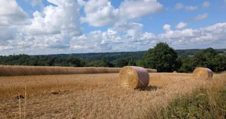 Le Theillaumas 1