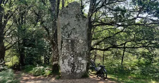 Menhir_Ceinturat_vélo_2023 Menhir_Ceinturat_vélo_2023