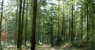 Sentier Douas Vias_1 Sentier Douas Vias_1