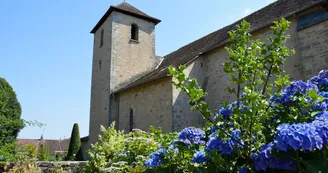 église
