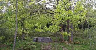 Peyrat Bac à la cube 