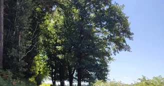 Piste de Châteauneuf - Châteauneuf-la-Forêt