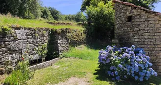 Quenouille - Peyrat-le-Château - (c) Pays Monts et Barrages