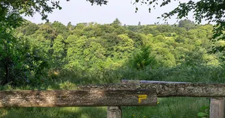 RAZES_Départ_tourdubourg 
