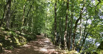 Sentier de rive du lac de Vassivière - Beaumont-du-Lac  (c) Pays Monts et Barrages