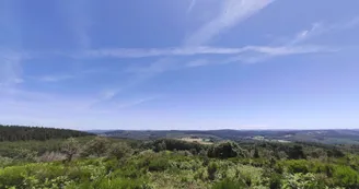 Vue sur le plateau de Millevaches - Puy Labesse - Peyrat-le-Château