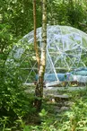 Bulle - Forêt de Chataîgnier