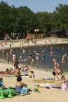 Plage d'Auphelle_1