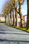 Terrain de pétanque - Châlus 