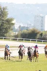 Couzeix - Hippodrome