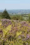 Mont Gargan_1