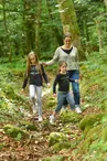 Forêt d'Épagne à Sauviat-sur-Vige en Limousin