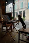 Tchica Café et ressourcerie Bellac 